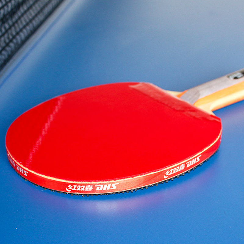DHS Raket Tenis Meja Berpereka - Table Tennis Protective Cover ulasan dan harga